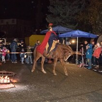 Martinsumzug in St. Medardus am 10.11.2017