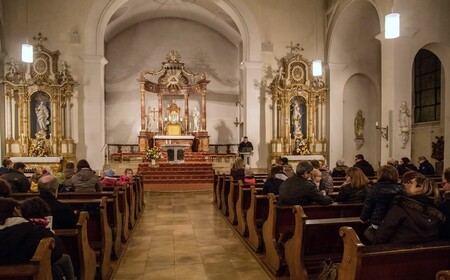 Album mit Titel Martinsumzug in St. Medardus