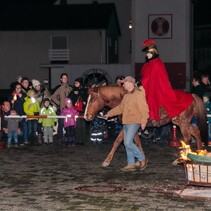 Martinsumzug in St. Medardus 2016