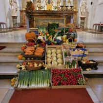 2025-10-05 Rödersheim 1.jpg